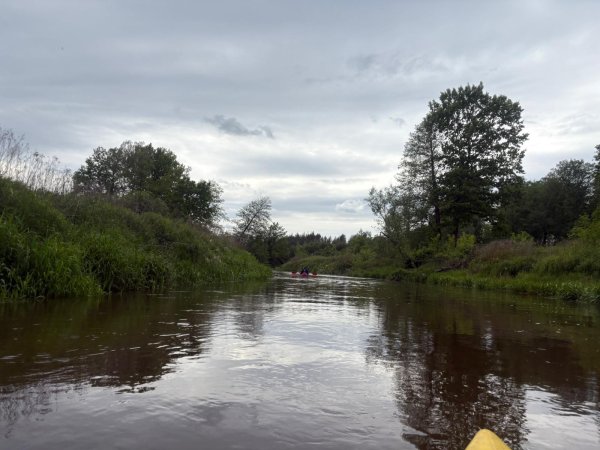 IMG-20250526-WA0004