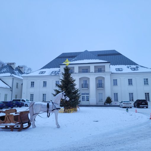 20260206_075324_resized