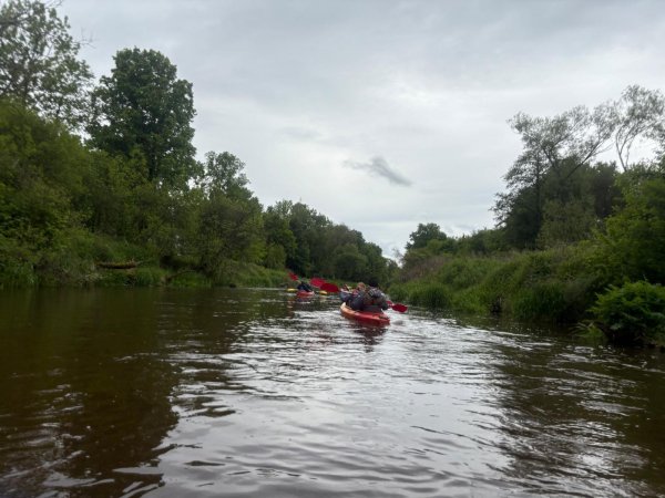 IMG-20250526-WA0002